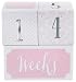 Baby Aspen My First Milestone Princess Age Blocks | Baby Picture Props for Photo Sharing The First Year