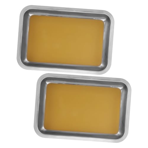HANABASS 2pcs Stainless Steel Dissecting Tray for Science Lab Biology Classroom Anatomy Education Wax Base and Safety Edges