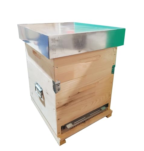 Arnia cubo (box) sverniciata completa di melario