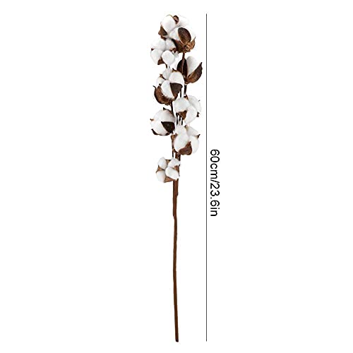 3 unidades de flores secas de algodón natural 60 cm miniatura 2