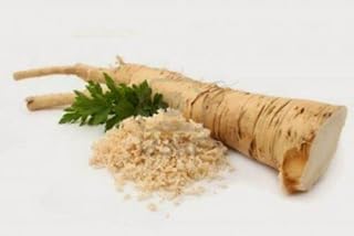 10 graines de RAIFORT (Armora CIA Rusticana) WASA BI ALSACIEN H868 Horseradish Seeds