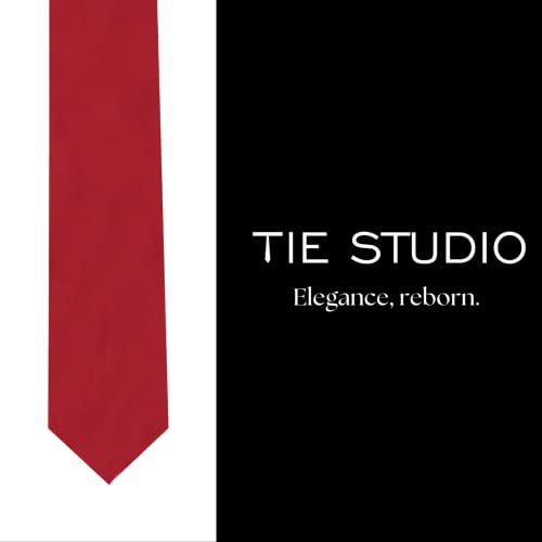 Image of TIE STUDIO Mens Formal Neckties| Standard Size | Premium fabric | Superior finishing| Packaging - Folder | Set of 1