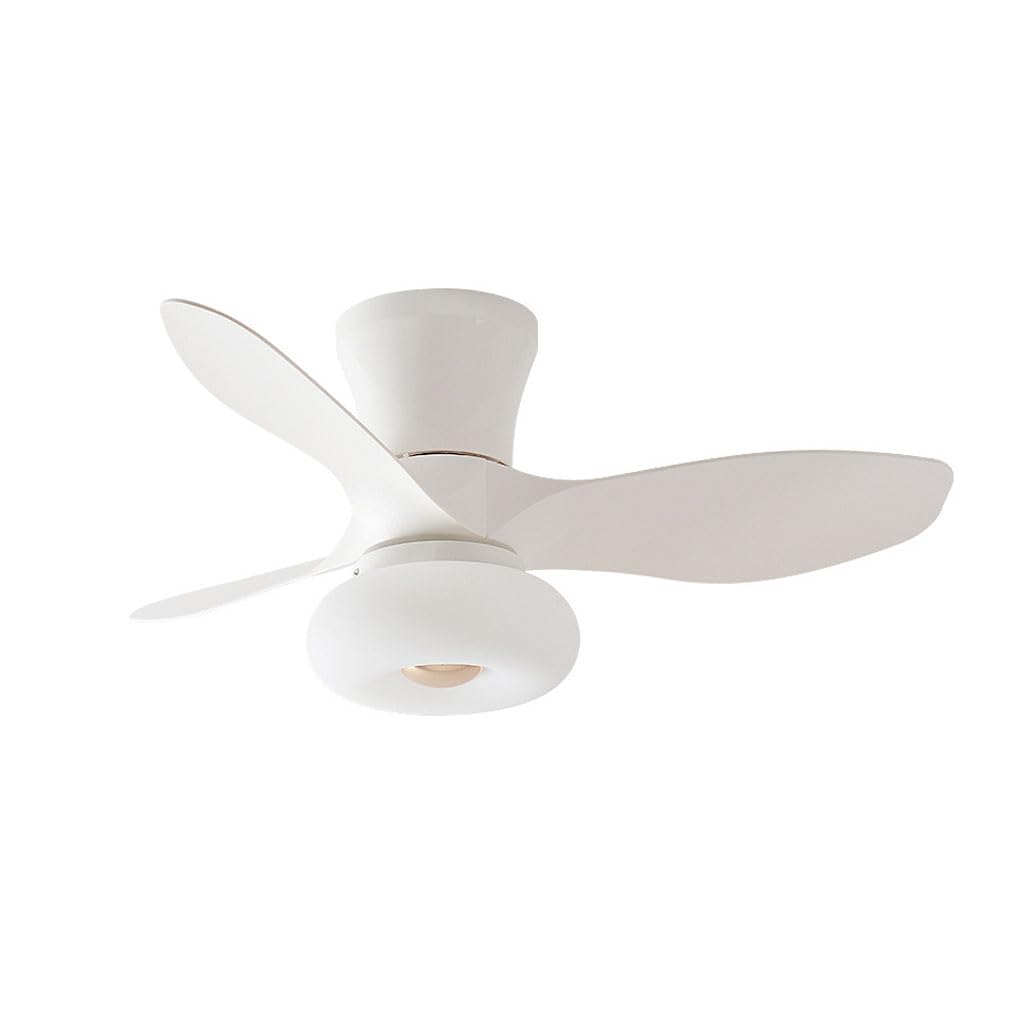 HXYSXHJUO Fan Light Ceiling Electric