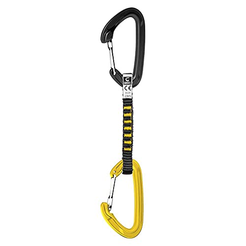 Ox(Grivel) oR NC~O h[Zbg ApCv[EVO 16 GVRSQALPE6