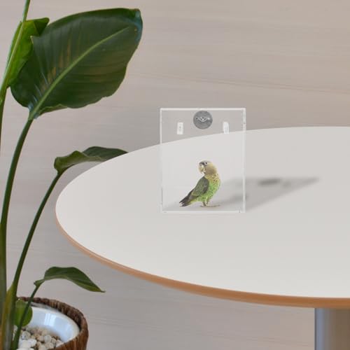 Bañera de pájaros para jaula accesorio loros y periquitos 5