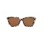 Shiny Tiger Cowrie/Copper Polarized-580g