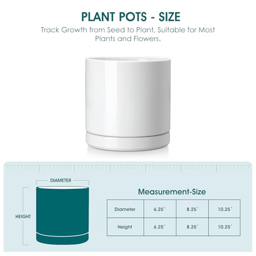 vancasso Ceramic Plant Pots, 8.25 Inch Ceramic Pot for Plants, Planters Pots for Indoor Plants with Drainage Holes, Flower Pot for Indoor House Plant, White by vancasso - Used condition - Image 2