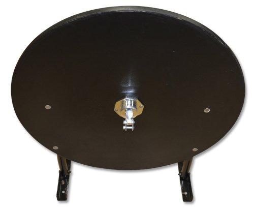 Ring to Cage Speed Bag Platform