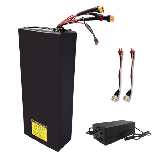 60V 40Ah Electric Scooter Battery, with 67.2V 5A Fast Charger and 2pcs Charging Port, use for 60V Dual Motor Kick Scooters