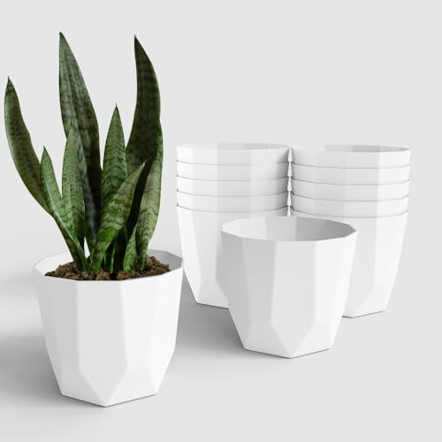 Image of YUCCABE ITALIA SHERA Hexa Plastic Planter Pot for Plants | Decorative Flower Pot | UV Protected Lightweight Indoor Outdoor Gamla for Home Decor, Balcony, Garden & Living Room