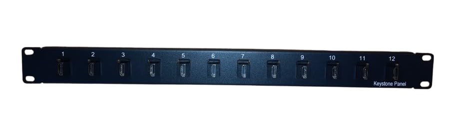 RiteAV - 19 inches 12-Port HDMI Interface Patch Panel,Black