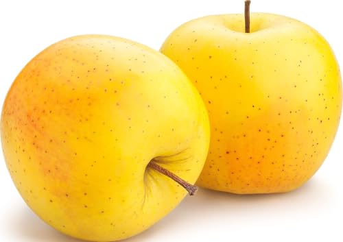Manzana Golden ECO - 575 g