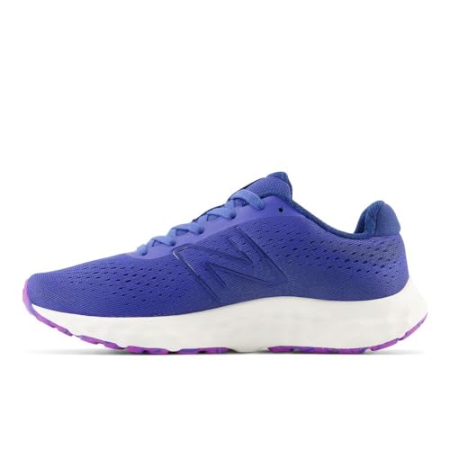 Image of New Balance Women's 520 V8 Shoes
