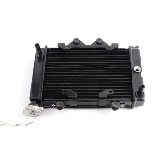 WG^[ ANZT[,N[[ 200cc 250cc 4x4 ATV UTV NbhoM[ _[goCNp[c I[goCpEH[^[N[GWWG[^[pN[[ɓK(Radiator)