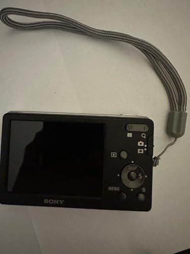 Sony Cyber-shot DSC-W310 Appareil-photo compact 12,1 MP CCD (dispositif à transfert de charge) 4000 x 3000 pixels Argent - Appareils photos numériques (12,1 MP, 4000 x 3000 pixels, CCD (dispositif à transfert de charge), 4x, 121 g, Argent)