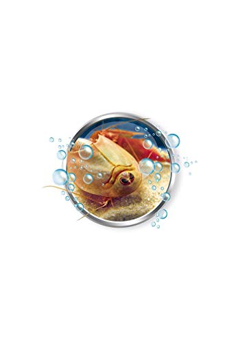 Science et jeu : Mes premiers Triops Clementoni Jeux - vue 6
