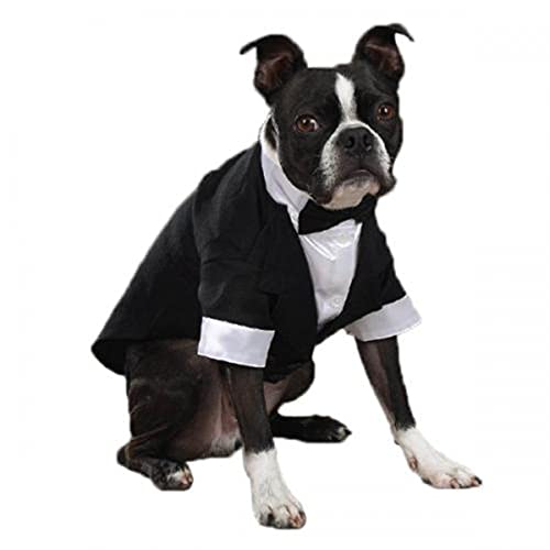 Traje de etiqueta para perros East Side Collection XXS miniatura 1