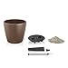 Lechuza Classico Color 21 Nutmeg, Self-Watering Small Round Planter, D8.3 H7.9 in