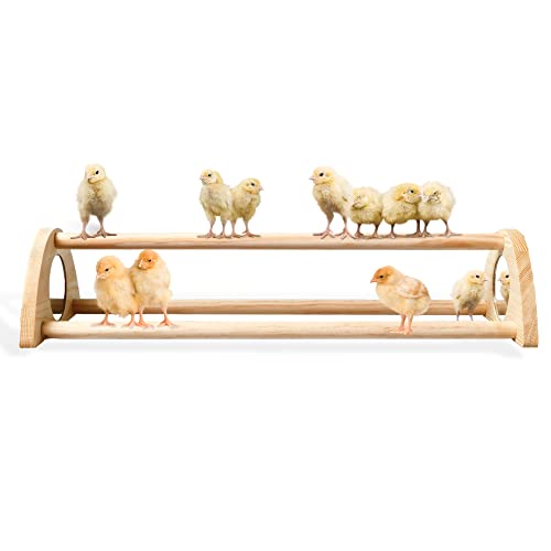 TonGass 16 Extra Long Chicken Perch - Freestanding Roosting Bar for Baby Chicks with Built-in Mirrors for Entertainment - Durable Polished Bamboo Roosting Bar - 15 3/4 x 6 5/8 x 3 1/2