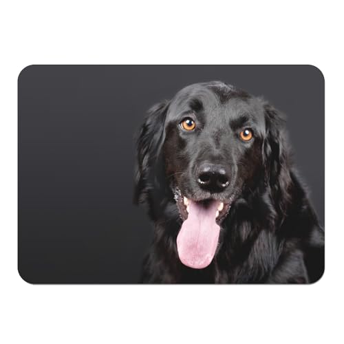 Set de table liège Labrador Noir : napperons de qualité supérieure et durables - 2
