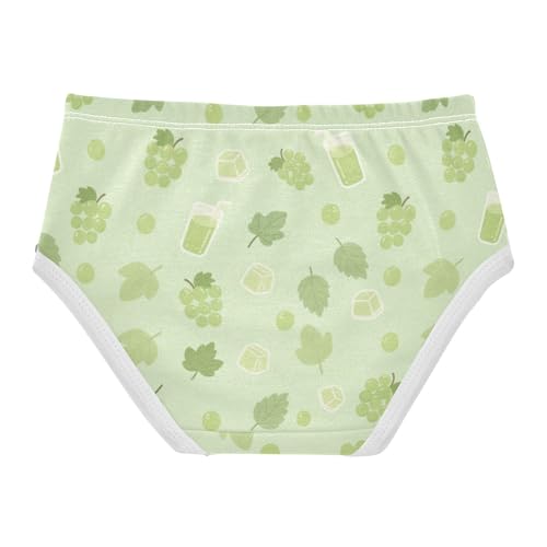 Girls' Underwear Grape Toddle Brief Panties 2-8 Years 203007102
