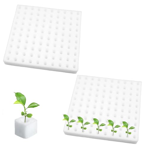ZAHD 200 PCS esponjas cuadradas para plántulas para invernadero Esponjas Hidropónicas para Plantar Herramientas de Jardinería Esponjas Cuadradas para Plántulas Esponjas hidropónicas sin suelo (Blanco)