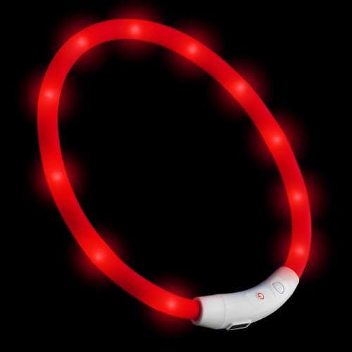 PRECORN LED USB-C Silikon Hundehalsband Halsband Hund Katzenhalsband Leuchthalsband für große kleine Hunde aufladbar