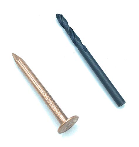 Eagle 1 Copper Nails With Free 1/8" Starter Dill Bit (Multiple Quantities, 1.5" To 3") For Corrosion Resistant Roofing, Slate Roofing, Craft Projects (100, 2") #TOP1