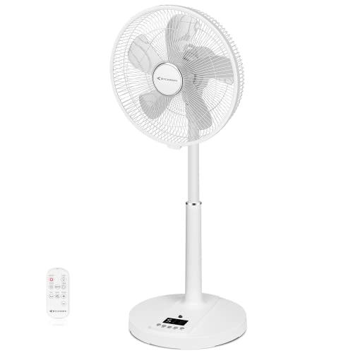 Pedestal Fan
