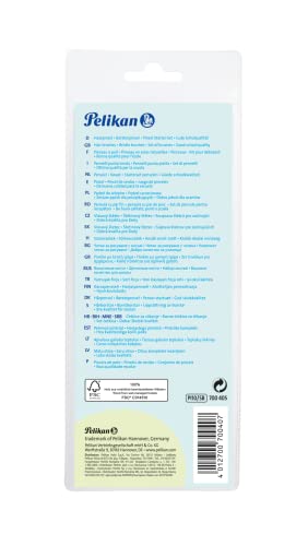 Pelikan 700405 Pinsel Starter-Set mit 5 Haar- und 5 Borstenpinseln