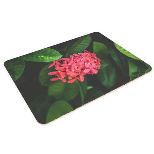 Sets de table souples en liège avec finitions fleurs de Red Ixora