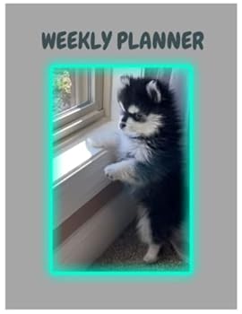 Paperback Weekly Planner: Pomsky Puppy Looking Out Window Planner Book