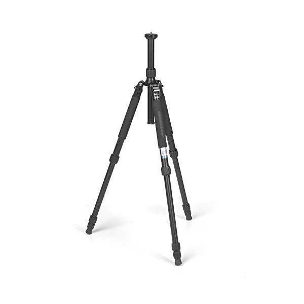 Tiltall TE-224 professionelles Kamerastativ (Höhe 140 cm)
