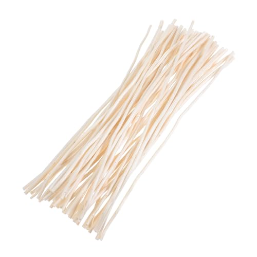 LEDMOMO 50個 侘寂風白色乾燥龍柳枝 の装飾用小枝 フラワーアレンジメント用 クリエイティブ 花瓶やセンターピースに 和風禅インテリアと調