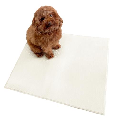 dfang�y�y�b�g�v���C�}�b�g ����5mm �܂肽���݃^�C�v�z�y�b�g�p�m���X���b�v�h���N�b�V�����}�b�g �􂦂� �p�e�������\�h�΍�y�G�N���A�C�{���[���z(��70cm×����60cm)