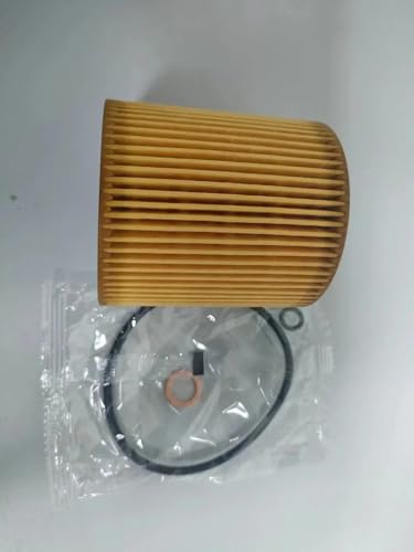 Filtro de aceite motor para BMW E90 F30 y E60 compatible con motores 325i y 528i 2