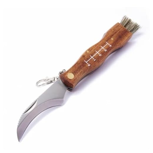 IKOPFLN Coltello in Acciaio Inox per Funghi - Micologica Aperta