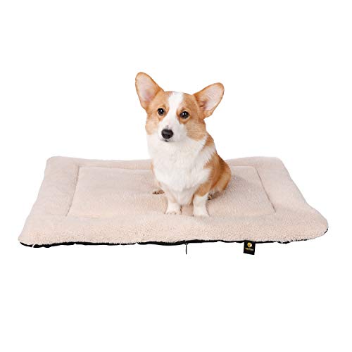 Best Floor Cushion For Dogs