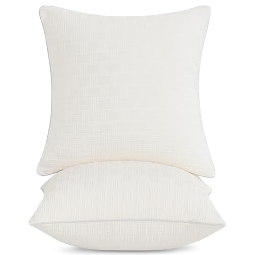 Leeden 18x18 Pillow Inserts Set of 2, Soft and Fluffy Throw Pillow Forms for Couch and Bed, 18 Inch Square Decorative Pillow Inserts, Beige