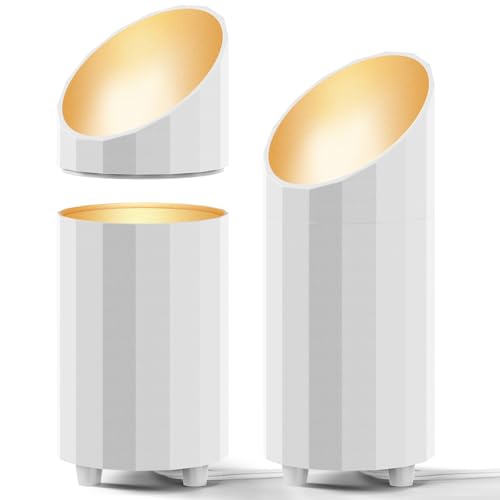 Image of Barrina Uplighting Indoor Spotlight, 2700K E26, 2 in 1 Detachable 2-Pack | Adjustable Tree Up Lights Floor Can Light, Spotlights for Indoor Plants Picture Home, 6.56FT Plug Cord, Foot Switch, White