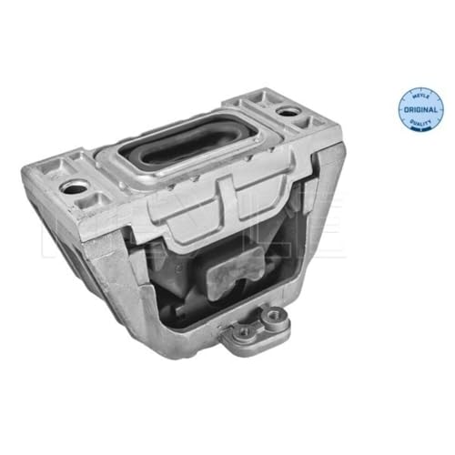 Montaggio Del Motore Meyle 100 199 0241 - 3