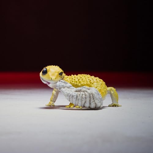 Gecko Léopard AMITD figurine réaliste pour décorer sans les contraintes d'un élevage