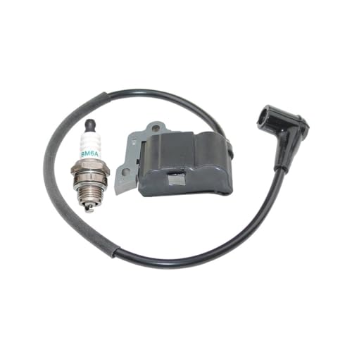 Bobine d'allumage EB802 solution pour démarrage difficile - 3
