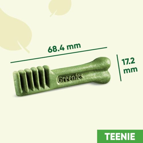 GREENIES Zahnsticks für sehr kleine Hunde von 2 bis 7 kg – 258 Kaustäbchen (6 x 340 g) – Leckerli Zertifiziert von Tierärzten für die Mundhygiene bei Hunden, frischem Atem