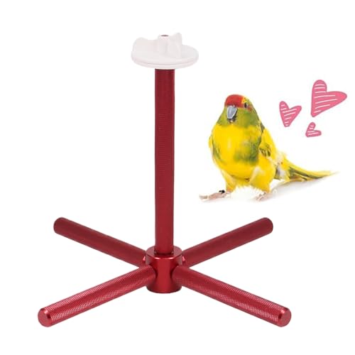 Jouet pour perroquet rotatif pour animer la cage intérieure de la maison - 2