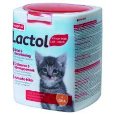 Cat milk kitten milk complete milk replacement for new born kitten Beaphar LACTOL KITTEN - 500G