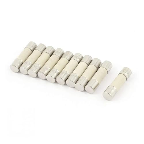 Fusibili a cartuccia con tubo in ceramica, fusibili di rete domestici in ceramica, confezione da 100, ampere assortiti, 0,5 A-30 A, 250 V, 6 x 30 mm.(25a)