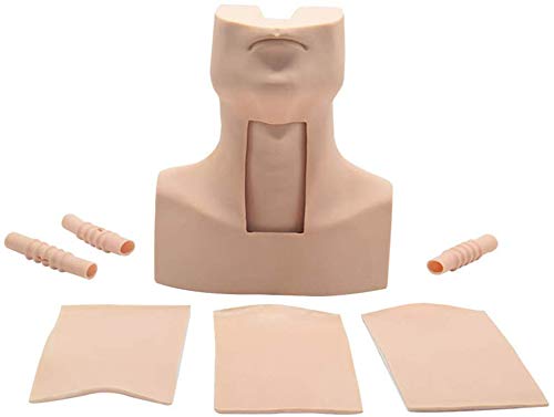 Ghde& Life Size, Tracheostomy And Intubation Training Model, Tracheotomy Intubation Training Model Mold Simulator For Nursing Medical Training #TOP5