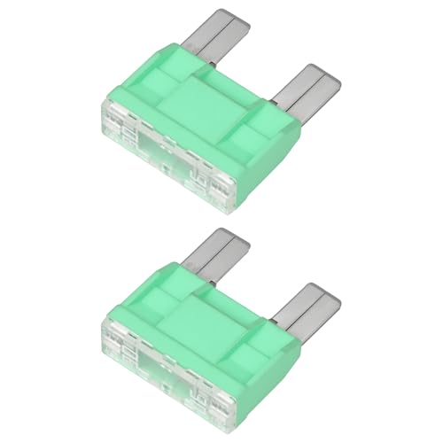 eMagTech Lot de 2 Fusibles à Grande Lame 32V 30A Compatible avec jcase pour Systèmes Électriques Automobiles remplace OEM 61138367132 A0025451734