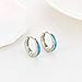 Silver Earrings for Women Trendy Blue Opal Huggie Earrings Small Silver Hoop Earring 14k Gold Plated Opal Jewelry Birthday Gifts for Women Mom Her